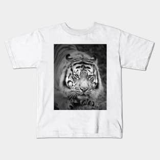 Ready To Pounce 2 Kids T-Shirt